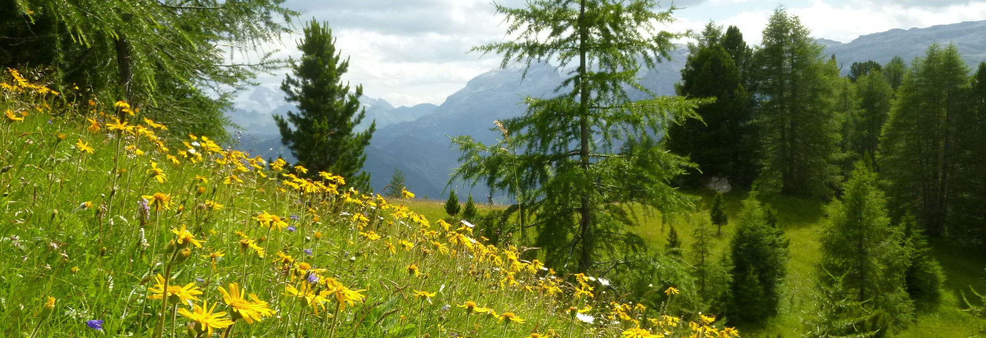 Falserhof Villanders