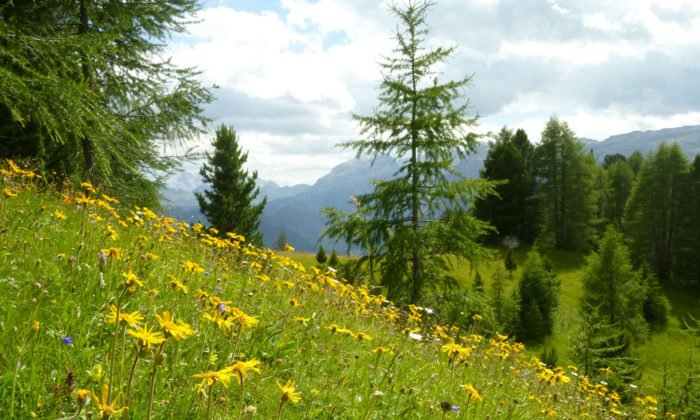 Für den Wanderurlaub in Südtirol eine Ferienwohnung in Villanders buchen